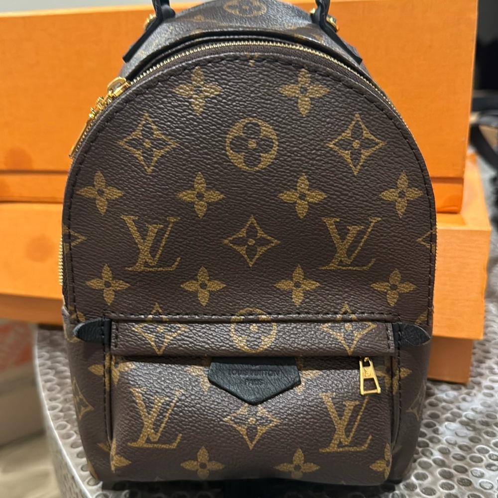 Louis Vuitton Mini palm spring backpack